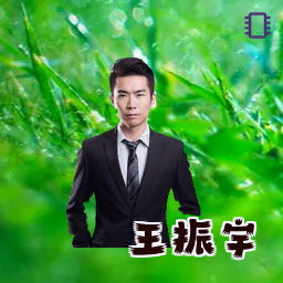 王振宇